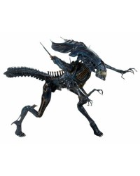Aliens Aliens