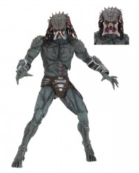 Predator Predator